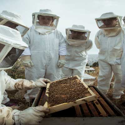 Beekeeping at Baraka Destin