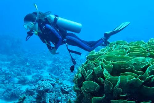 Aqaba In Water activities