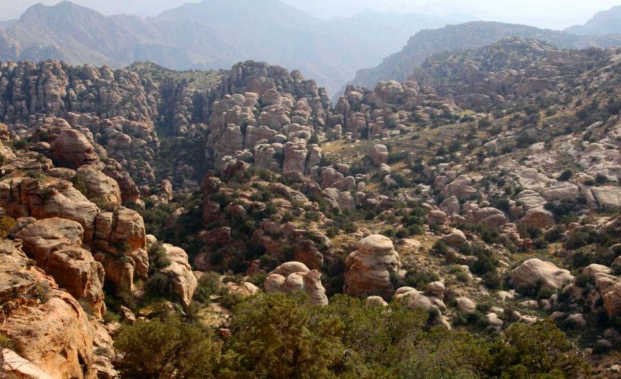Dana Biosphere Reserve