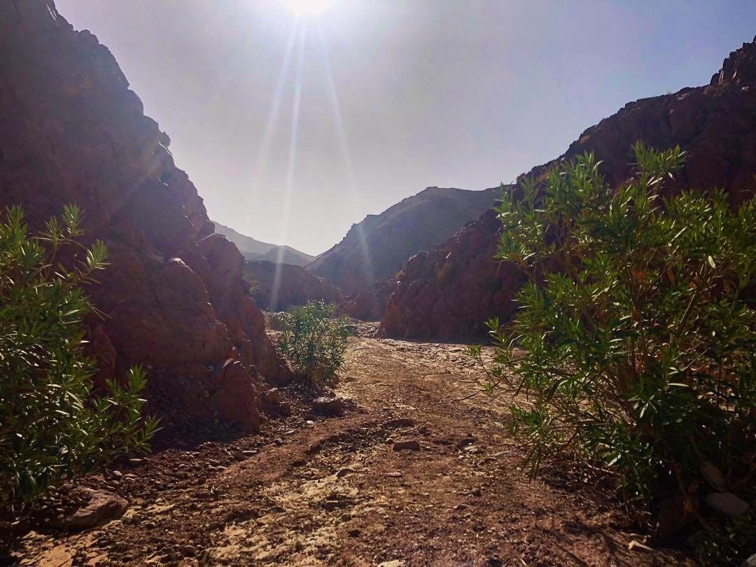 Dana Biosphere Reserve