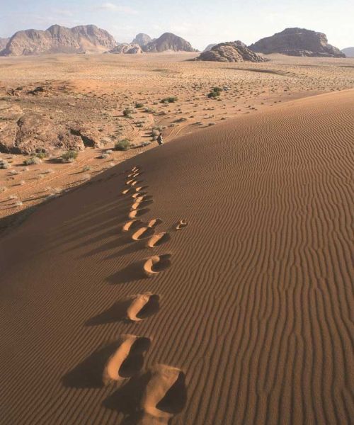 The Valley of the Moon